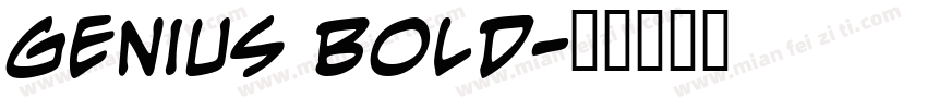 Genius Bold字体转换